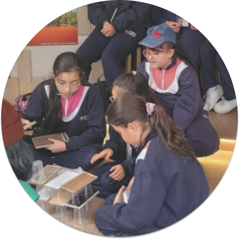 Apadrina una escuela